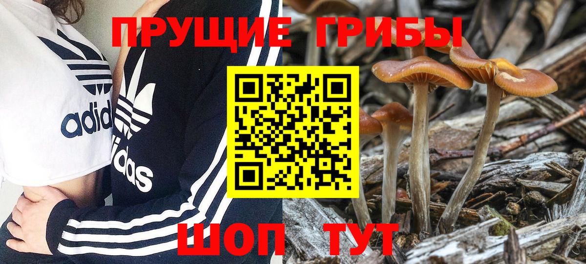 Галлюциногенные грибы ЛСД Алапаевск